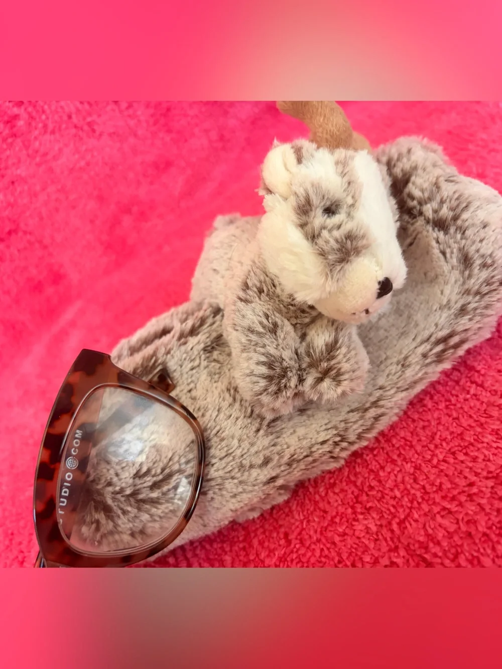Faux Fur Women's Glasses Case –